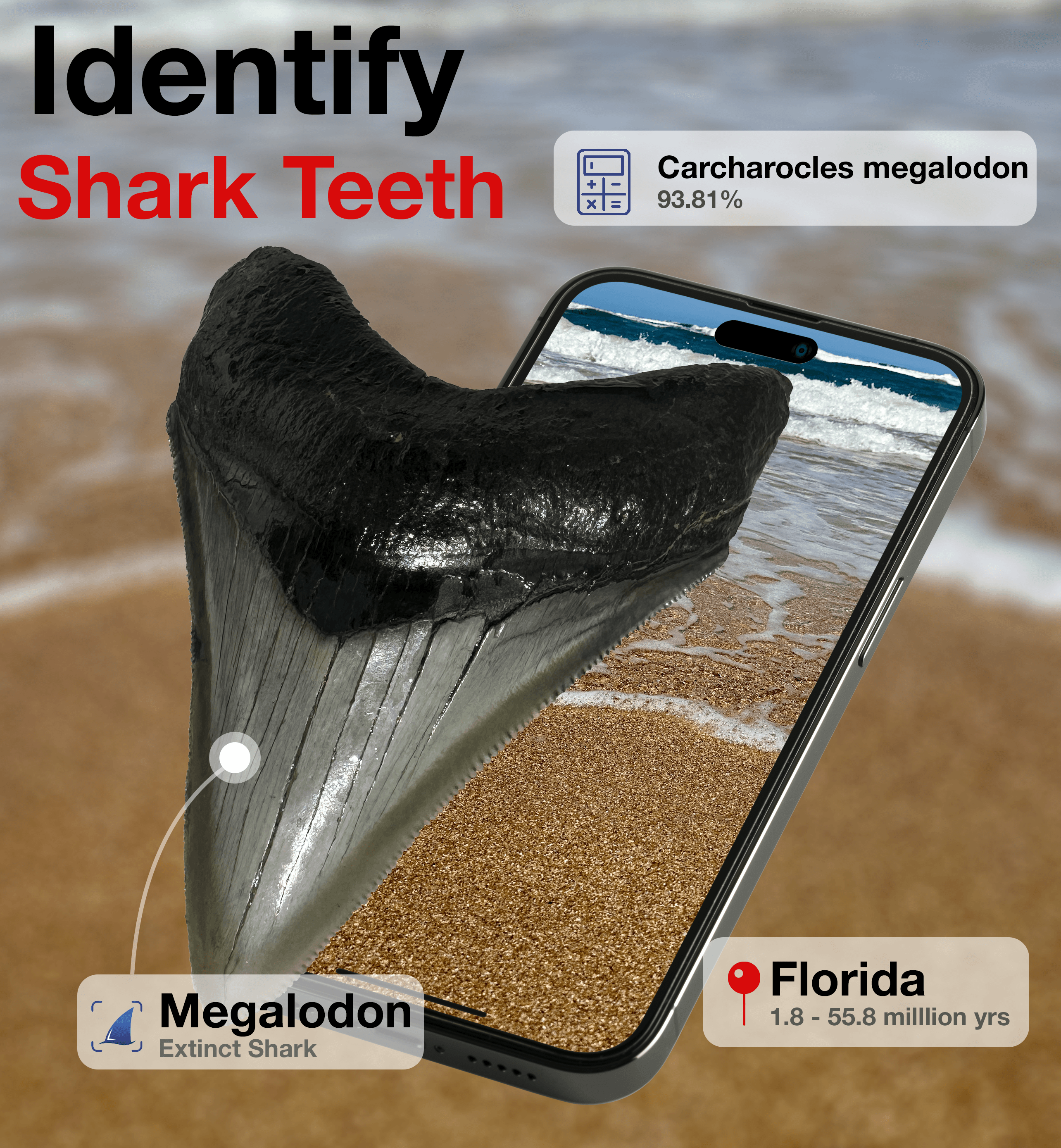 Randolph Schilke - BeachBop Mobile Application Launch (2023): Computer Vision object detection and classification edge deployment, realtime database, notifications, LLM, GCP